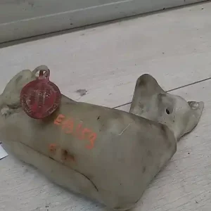 Utolsó esély BMW E39 95-03 Ablakmosó tartály bontott alkatrész