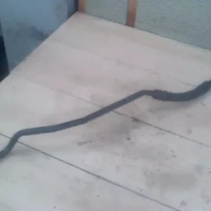 Szuper akció BMW E65 02.09.01-08.09.30 Olajcső automata,3.0td bontott alkatrész