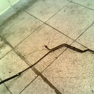 Kiárusítás CHEVROLET NUBIRA 03-10 Szervócső bontott alkatrész