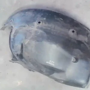 Akció RENAULT SCENIC 03-06 Jobb első hátsó kerékjárati dobbetétbontott alkatrész