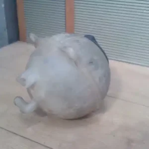 Szezonális akció SEAT CORDOBA 93-99 Kiegyenlítő tartály 1.9tdi bontott alkatrész