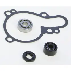 Hot Rods WPK0033 vízpumpa felújító szett Kihagyhatatlan ajánlat