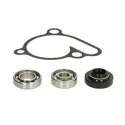 Hot Rods WPK0056 vízpumpa felújító szett Ajánlat