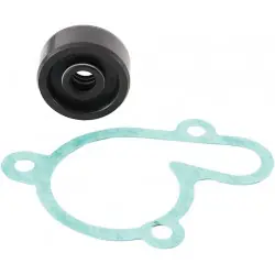 Biztonságos vásárlás Hot Rods WPK0021 vízpumpa felújító szett