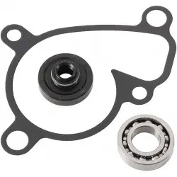 Hot Rods WPK0041 vízpumpa felújító szett Különleges ajánlat