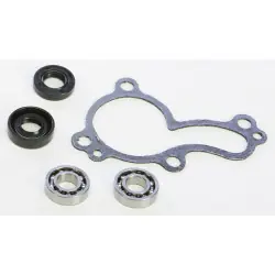 Hot Rods WPK0038 vízpumpa felújító szett Szuper ajánlat