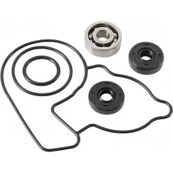 Gyors kiszállítás Hot Rods WPK0036 vízpumpa felújító szett