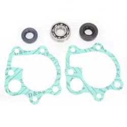 Hot Rods WPK0013 vízpumpa felújító szett Expressz kézbesítés