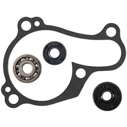 Hot Rods WPK0059 vízpumpa felújító szett Rendeld meg most